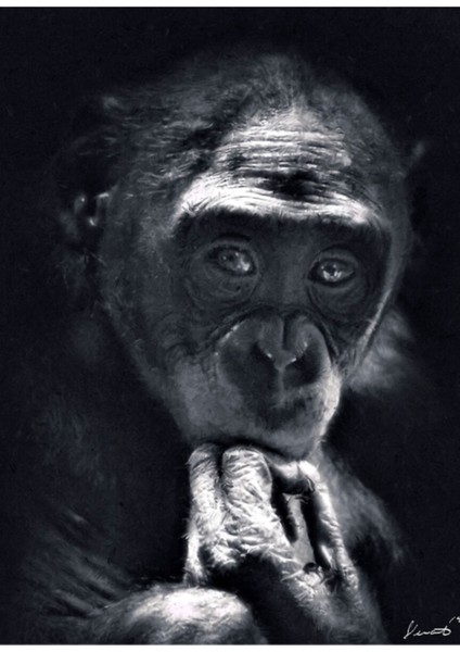 Ilkel Düşünür Tablo Ahşap Poster Dekoratif