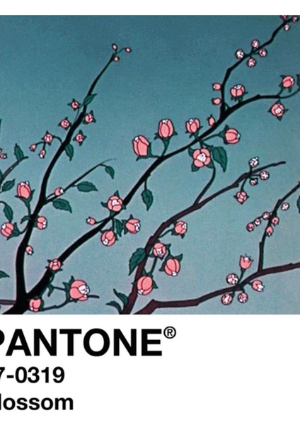 Blossom Pantone 90'lar Anime Estetik Tablo Ahşap Poster Dekoratif