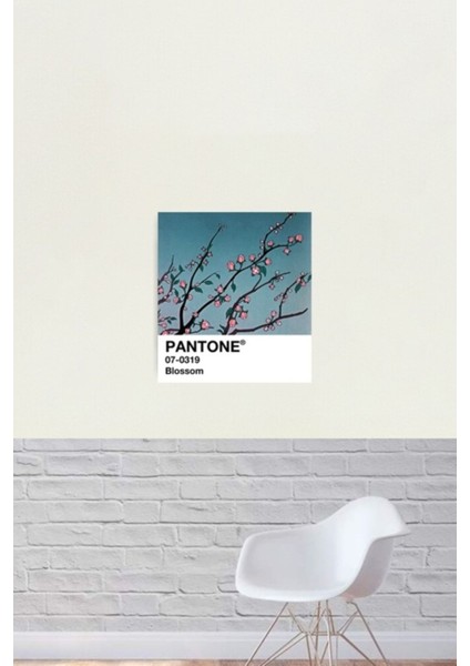 Blossom Pantone 90'lar Anime Estetik Tablo Ahşap Poster Dekoratif