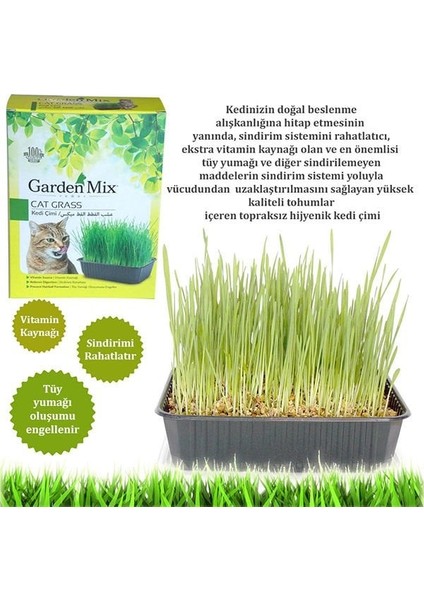 Garden Mix Kedi Çimi