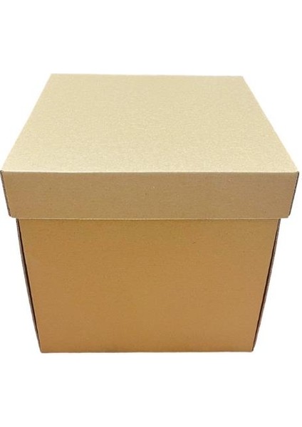 Pasta Kutusu 25 x 25 x 25 cm 10 Adet