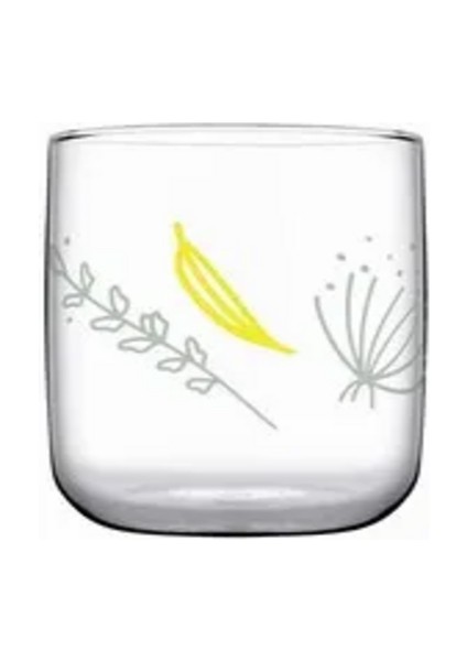 420112 Polen 6 Lı Su Bardağı