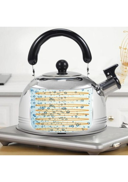 3l Paslanmaz Çelik Islık Pot Hemisphere Su Isıtıcısı Hızlı Isı Elektrikli Soba Düz Dip Indüksiyon Ocak Için | Su Isıtıcılar (Yurt Dışından)