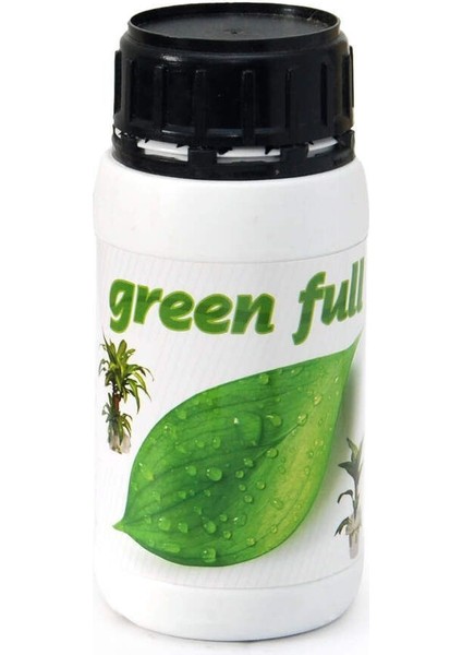 Green Full Salon Bitkisi Besini