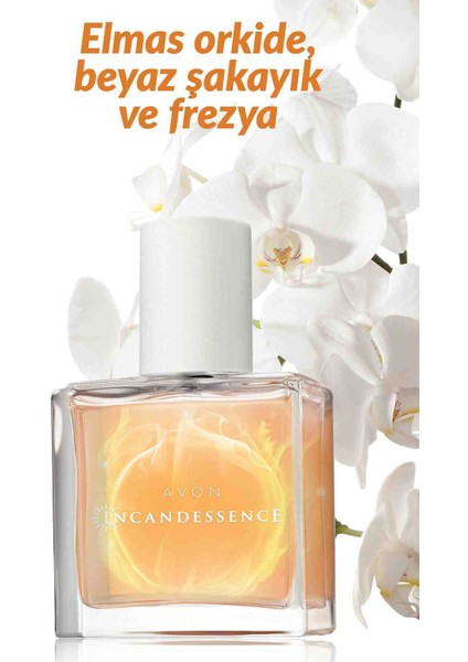 Incandessence Parfüm modelleri