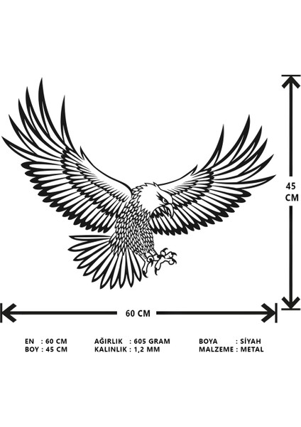 Kartal Metal Duvar Tablosu 60X45CM Siyah