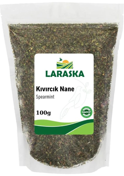 Kıvırcık Nane 100g - Spearmint 100g