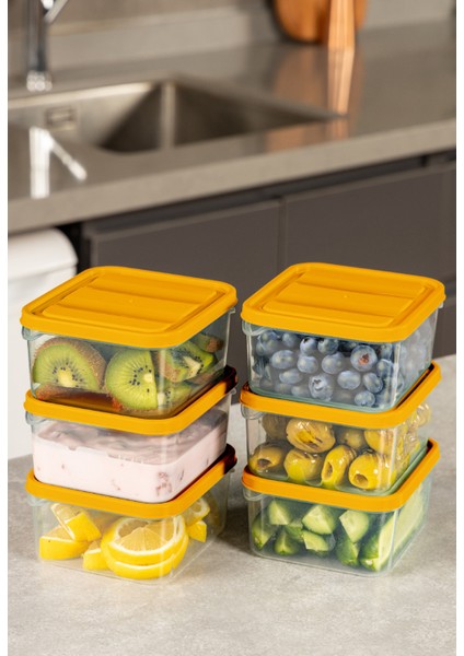 6’li 350 ml Buzdolabı Dondurucu Organizer Mikrodalga ve Difrize Uygun Saklama Kabı Turuncu fiyatları