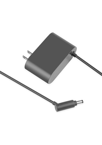 Şarj Adaptörü V8 V7 V6 DC58 DC59 DC61 DC62 DC74 Elektrikli Süpürge Güç Adaptörü Şarj Cihazı Abd Fişi (Yurt Dışından)