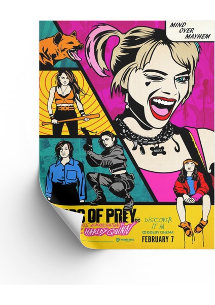 Harley Quinn Birds Of Prey Posteri & Yırtıcı Kuşlar Poster & Birds Of Prey Afiş Dcknkm1