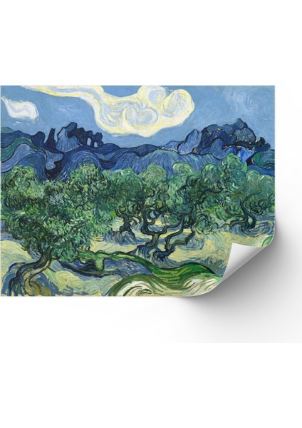 Van Gogh Zeytin Ağaçları Poster & Ressam Posteri & Dekoratif Poster & Sanatsal Poster Sdnkm1