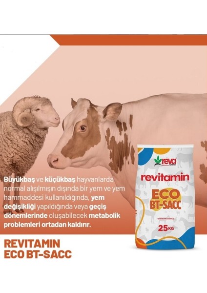 Revitamin Eco Bt-Sacc Toz Premiks 25 kg Kraft