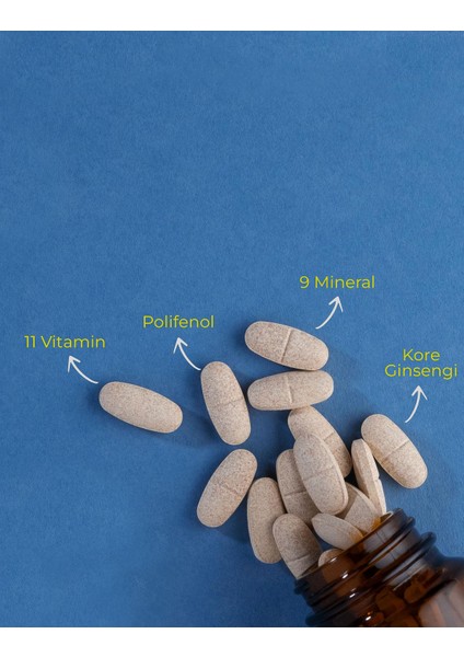 Fixer Multivitamin Mineral Ginseng 30 Tablet