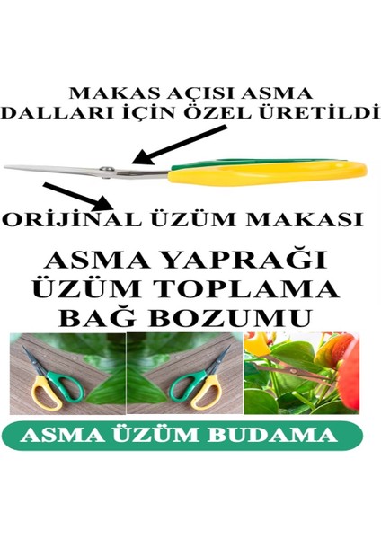 Üzüm Asma Çilek Bitki Budama Meyve Sebze Toplama Makası Bağ Makası