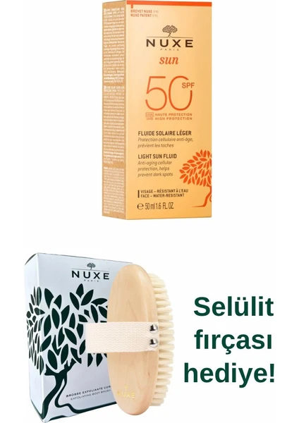 Sun - Creme Fondante Visage Haute Protection SPF50 50 ml - Güneş K Selülit Fırcası Hediyelioruyucu Yüz Kremi