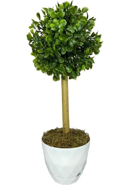 Yapay Ağaç Şimşir Top Tek Toplu 12X31CM Beyaz Saksıda