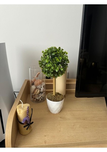 Yapay Ağaç Şimşir Top Tek Toplu 12X31CM Beyaz Saksıda