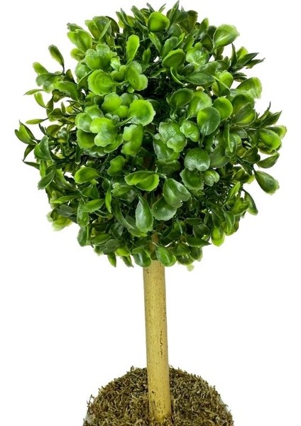 Yapay Ağaç Şimşir Top Tek Toplu 12X31CM Beyaz Saksıda
