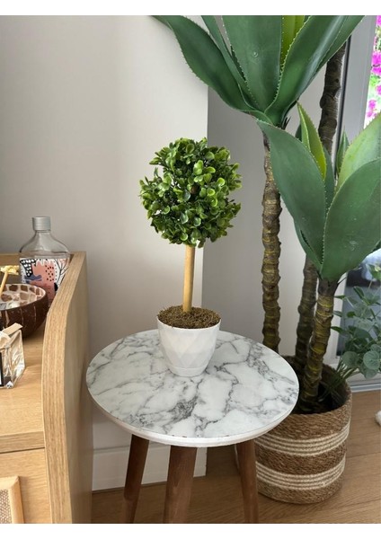 Yapay Ağaç Şimşir Top Tek Toplu 12X31CM Beyaz Saksıda
