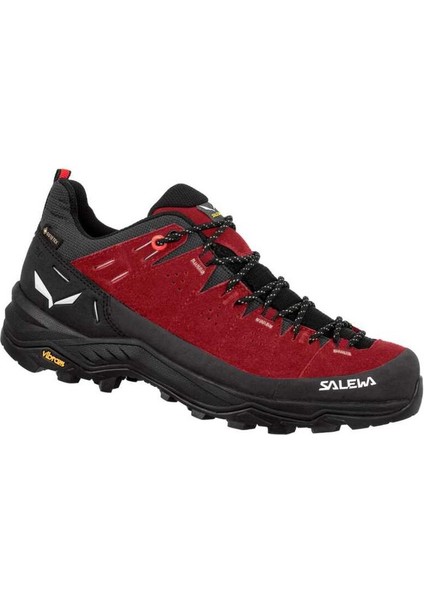 Alp Traıner 2 Gtx W