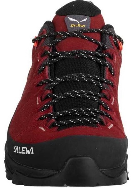 Alp Traıner 2 Gtx W
