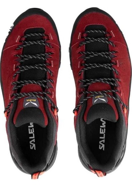 Alp Traıner 2 Gtx W