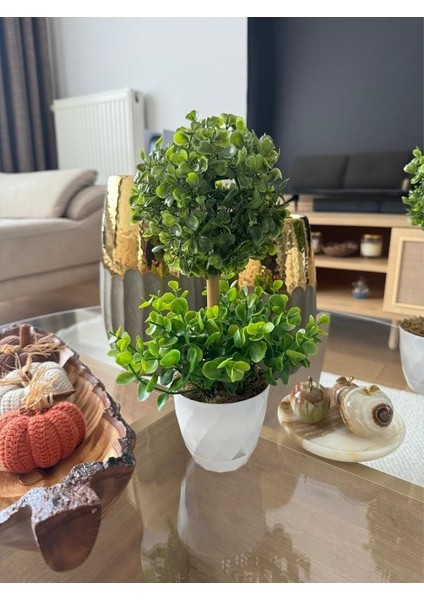 Yapay Ağaç Şimşir Top Tek Toplu Şimşirli 12X31CM Beyaz Saksıda