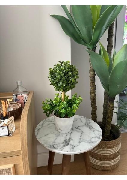 Yapay Ağaç Şimşir Top Tek Toplu Şimşirli 12X31CM Beyaz Saksıda