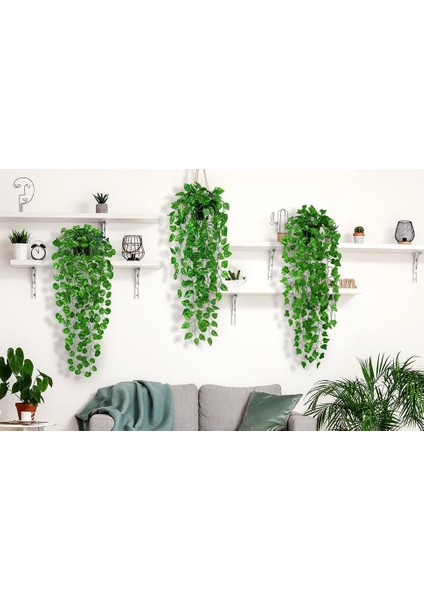Yapay Çiçek 3lü Set Saksıda Sarkan Sarmaşık Hedera Oval ve Yuvarlak Yapraklı Modeller