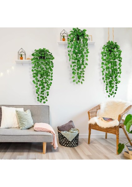 Yapay Çiçek 3lü Set Saksıda Sarkan Sarmaşık Hedera Oval ve Yuvarlak Yapraklı Modeller