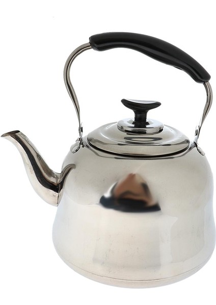 Çelik Düdüklü Çaydanlık 3l (Yurt Dışından) indirimleri