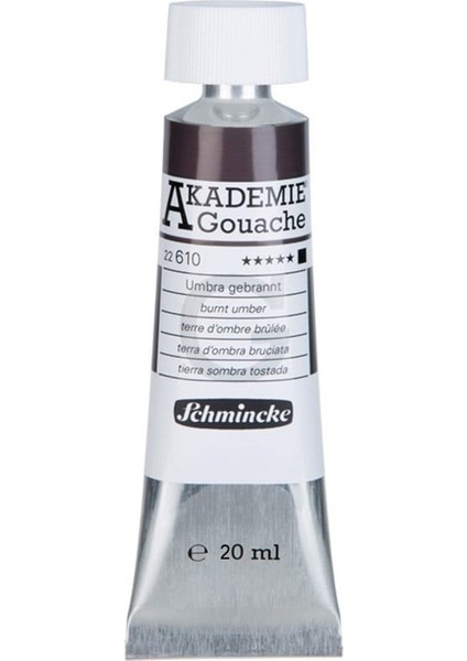 : Akademie Guaj Boya : 20 ml : 610 Burnt Umber