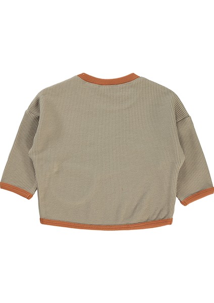 Erkek Bebek Sweatshirt 6-18 Ay Koyu Bej fiyatları