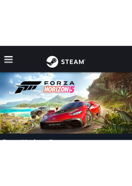 Microsoft Studios Forza Horizon 5 Steam Hesap