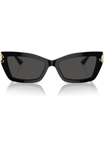 Jımmy Choo 5011U 500087 55-17 Kadın Güneş Gözlüğü fiyatları