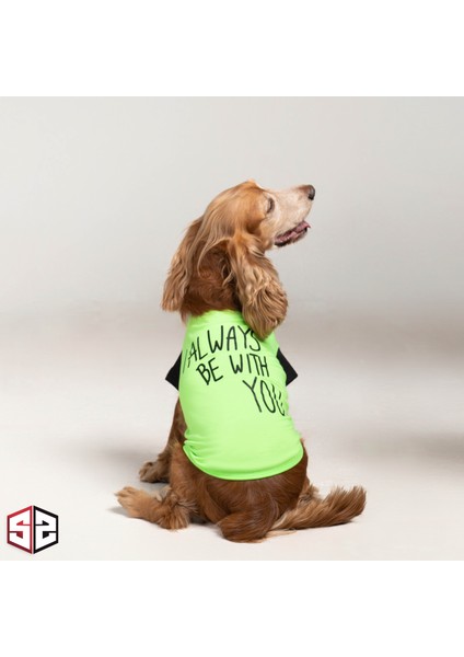 I Always With You - T-Shirt Pamuk Köpek Kıyafeti, Köpek Yazlık KK-132