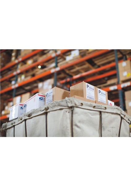 Lw 5xl Ekstra Geniş Sevkiyat Etiketi 104X159 mm (S0904980) fırsatları