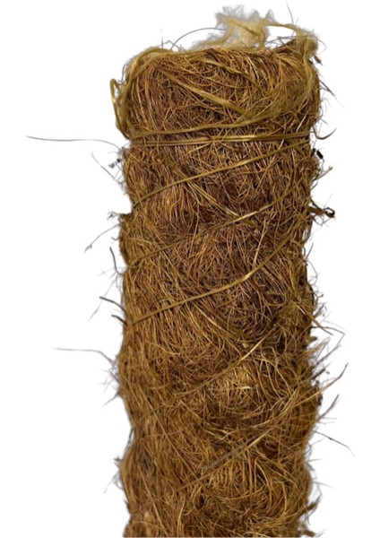 - Yosun Bitki Destek Çubuğu (150 Cm)