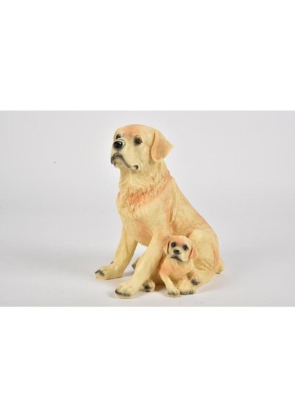 Seta Biblo Köpek Sarı Tek Yavrulu Büyük 29*21 cm