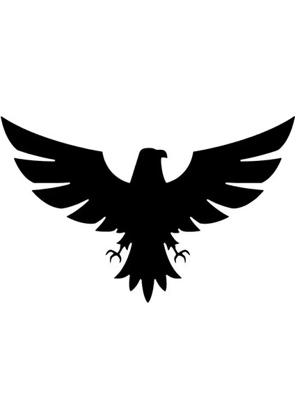 Kartal Sticker-Miyrem Duvar Dekor Sticker-Miyrem 40 x 60 cm