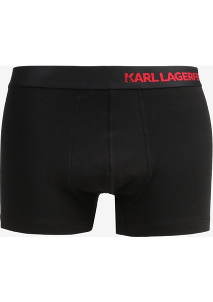 Siyah Erkek Boxer 230M2100999 fiyatları