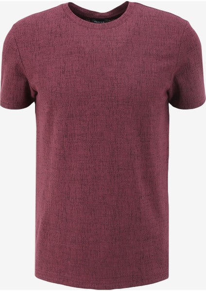 Bisiklet Yaka Jakarlı Bordo Erkek T-Shirt F4SM-TST 0945