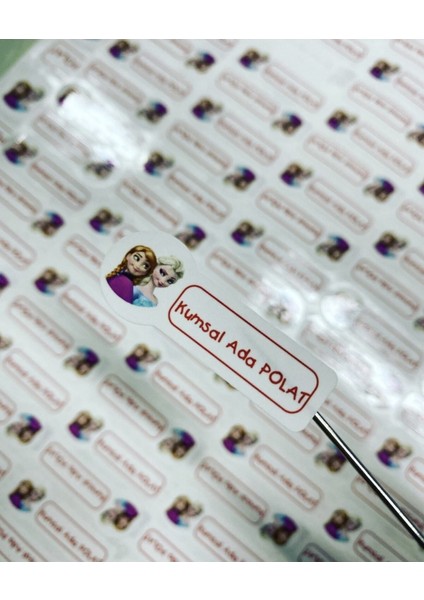 Okul Etiketi, Kalem Defter Etiketi, Elsa Defter Etiketi - 194 Adet Opak Sticker fiyatları