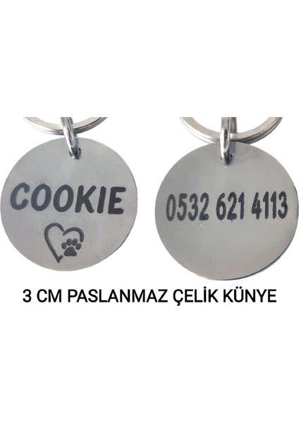 Isimli Köpek Tasması, Yavru ve Küçük Irklar Için Köpek Tasması,köpek Künyesi,köpek Isimlik, Köpek Madalyon