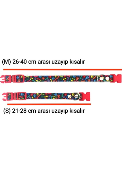 Ayz Markalama Isimli Köpek Tasması, Yavru ve Küçük Irklar Için Köpek Tasması,köpek Künyesi,köpek Isimlik, Köpek Madalyon