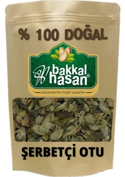 - Şerbetçi Otu