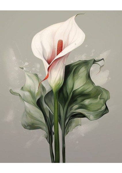 Sayılarla Boyama Hobi Seti Renkli Baskılı (Çerçeveli) 40X50 Cm: Calla Lily 3