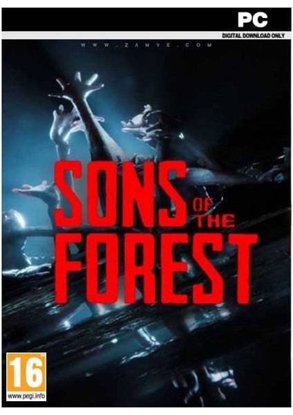 Sons Of The Forest (PC Oyun) Steam Hesap