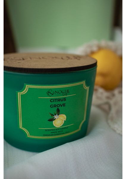 Harmony / Citrus Grove Kokulu Soya Mumu