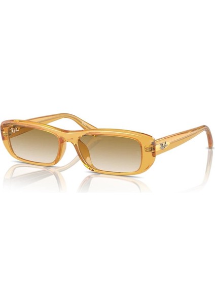 Rayban Güneş Gözlüğü RB4436D 668213